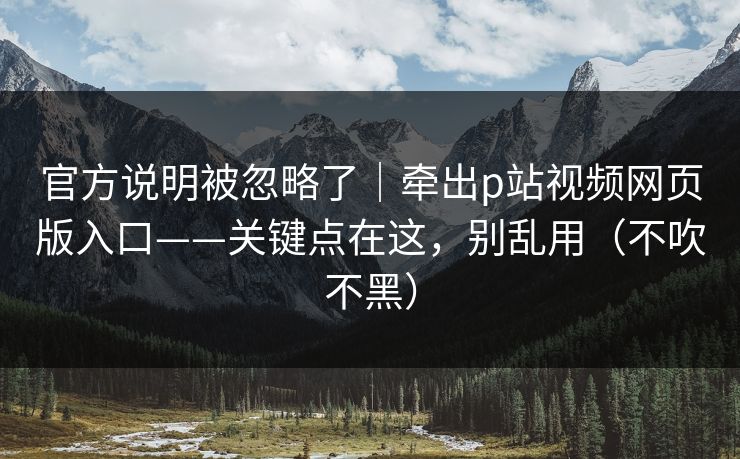 官方说明被忽略了|牵出p站视频网页版入口——关键点在这,别乱用(不吹不黑) 官方说明被忽略了|牵出p站视频网页版入口——关键点在这,别乱用(不吹不黑)