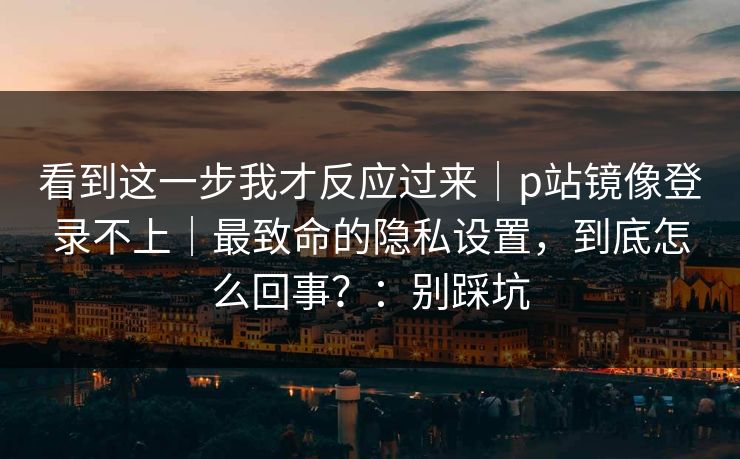 看到这一步我才反应过来｜p站镜像登录不上｜最致命的隐私设置，到底怎么回事？：别踩坑