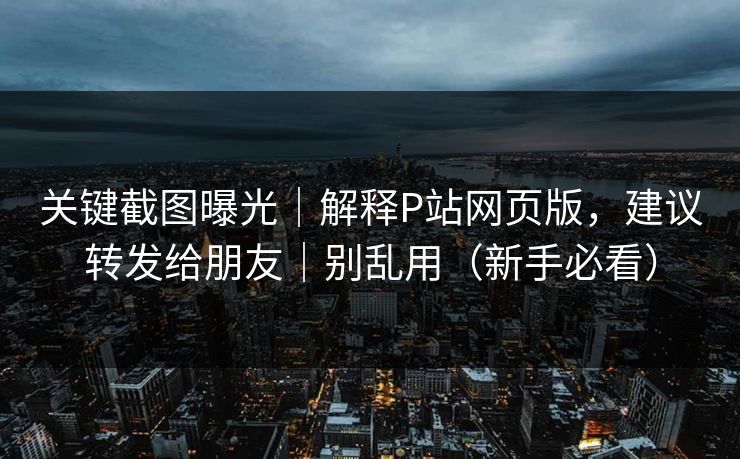 关键截图曝光｜解释P站网页版，建议转发给朋友｜别乱用（新手必看）