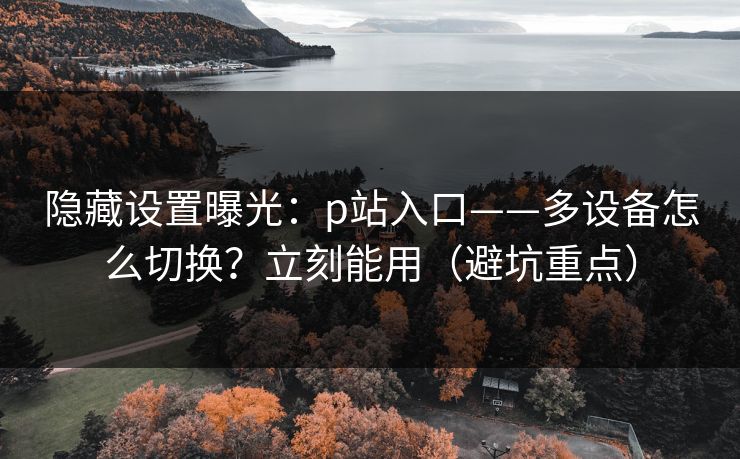 隐藏设置曝光：p站入口——多设备怎么切换？立刻能用（避坑重点）