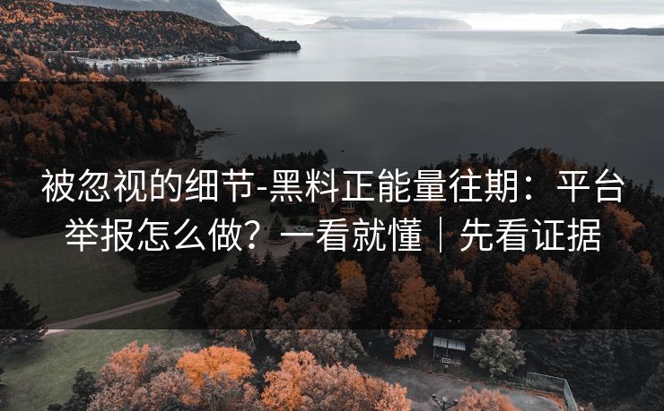 被忽视的细节-黑料正能量往期：平台举报怎么做？一看就懂｜先看证据