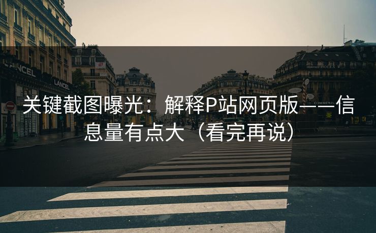 关键截图曝光：解释P站网页版——信息量有点大（看完再说）