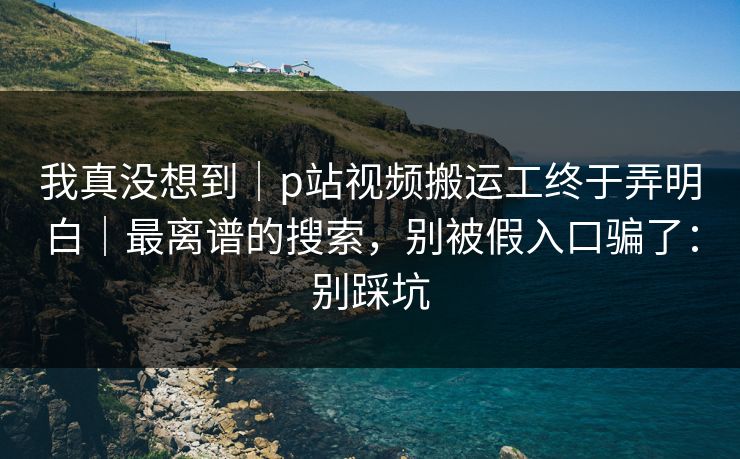 我真没想到｜p站视频搬运工终于弄明白｜最离谱的搜索，别被假入口骗了：别踩坑