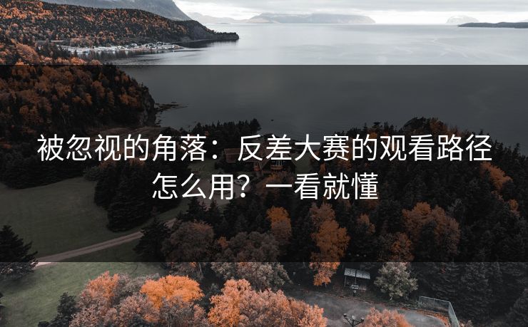 被忽视的角落：反差大赛的观看路径怎么用？一看就懂