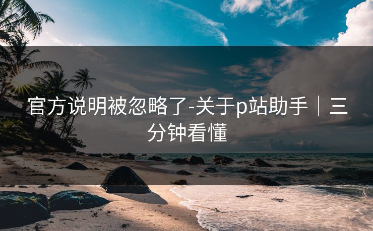 官方说明被忽略了-关于p站助手|三分钟看懂 官方说明被忽略了-关于p站助手|三分钟看懂