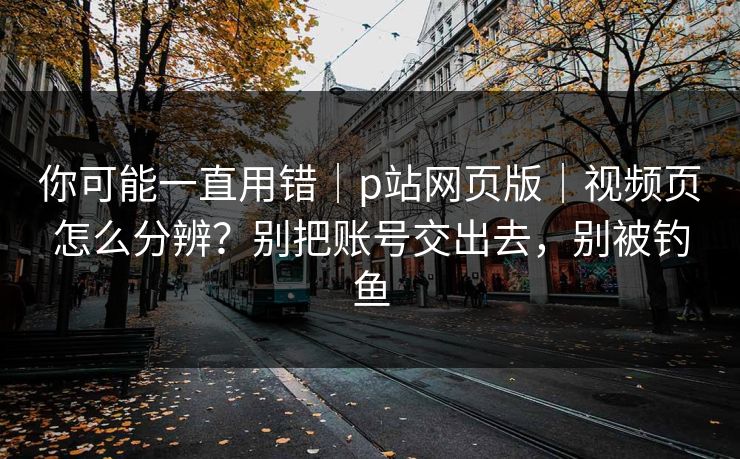 你可能一直用错｜p站网页版｜视频页怎么分辨？别把账号交出去，别被钓鱼