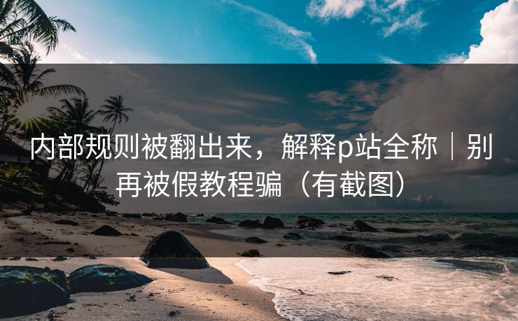 内部规则被翻出来，解释p站全称｜别再被假教程骗（有截图）