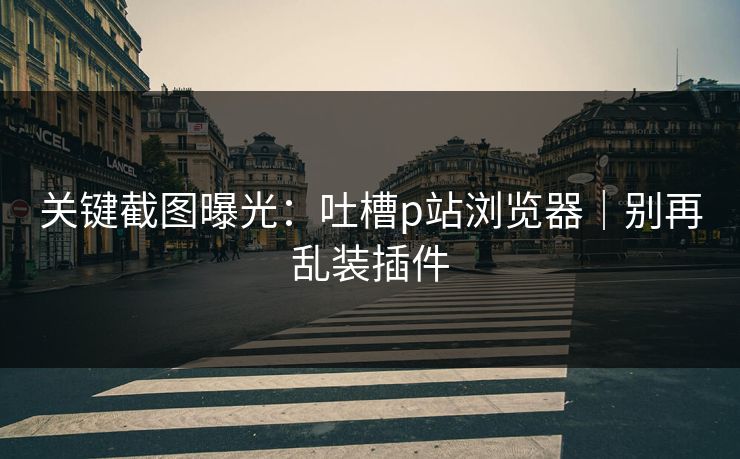 关键截图曝光：吐槽p站浏览器｜别再乱装插件