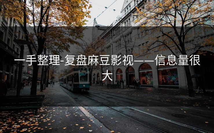 一手整理-复盘麻豆影视——信息量很大 一手整理-复盘麻豆影视——信息量很大