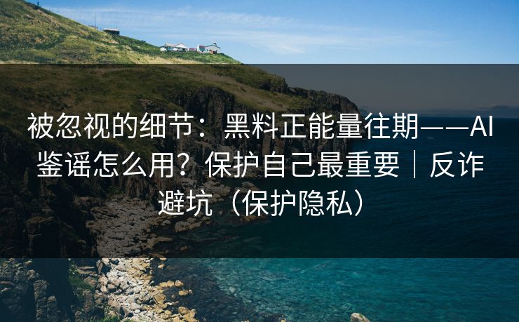 被忽视的细节：黑料正能量往期——AI鉴谣怎么用？保护自己最重要｜反诈避坑（保护隐私）